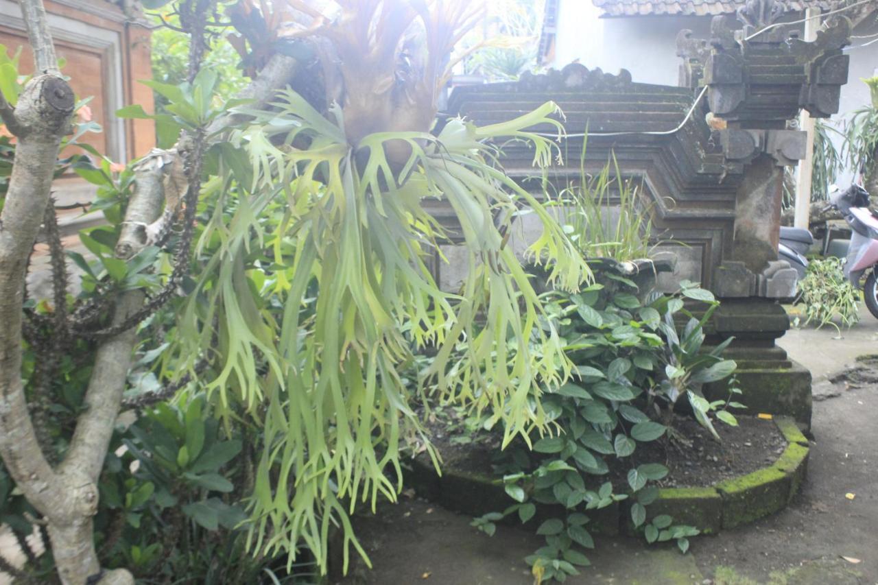 Umah De Arlika Ubud Extérieur photo